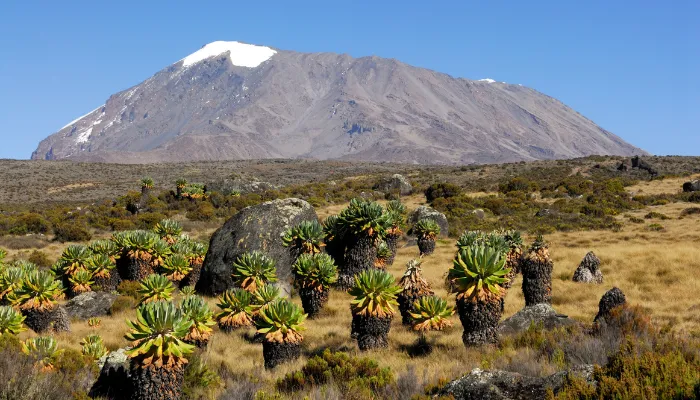 7-Day Serengeti Migration Safari