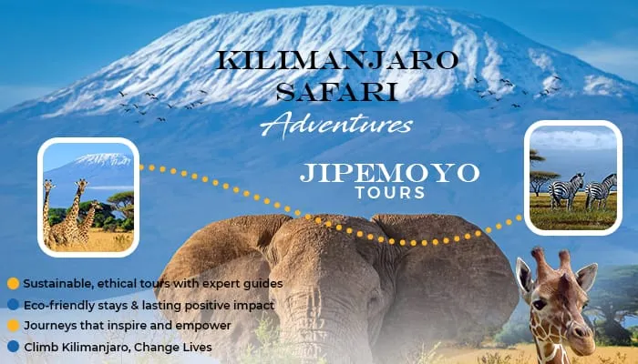 7-Day Lemosho Route – Kilimanjaro Climb