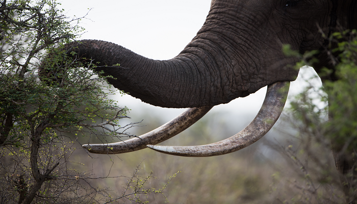 Traveling to Tanzania for the First Time? Here’s Everything You Need to Know