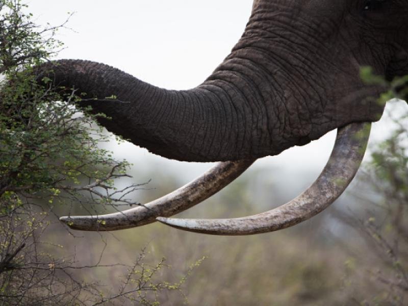 Traveling to Tanzania for the First Time? Here’s Everything You Need to Know