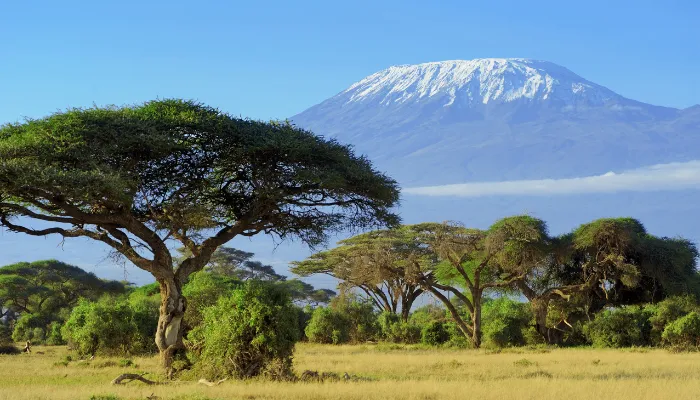 7-Day Lemosho Route – Kilimanjaro Climb