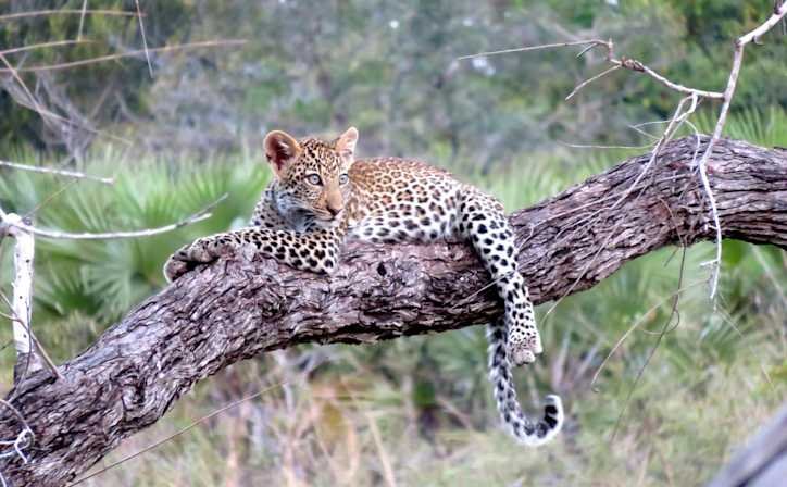 7-Day Serengeti Migration Safari